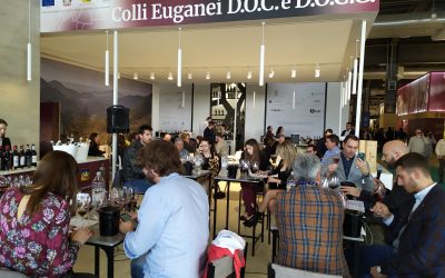 Vinitaly 2022: ripartire guardando al futuro