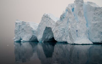 Scoperta la presenza di microplastiche in Antartide