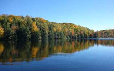 Il cambiamento climatico influenza anche il colore dei laghi