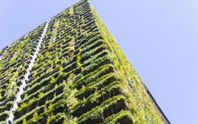 Pianeta più sano, bollette più leggere: il cappotto verde abbassa le temperature